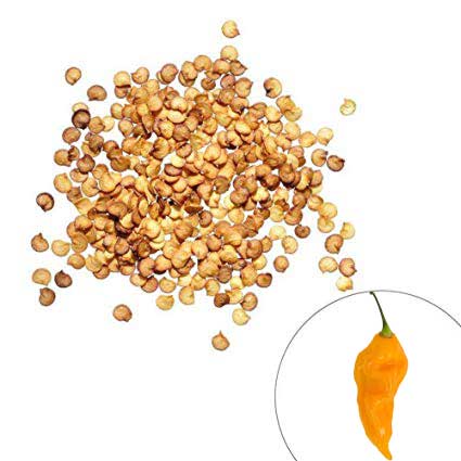 Yellow Fatalii​ Pepper Seeds