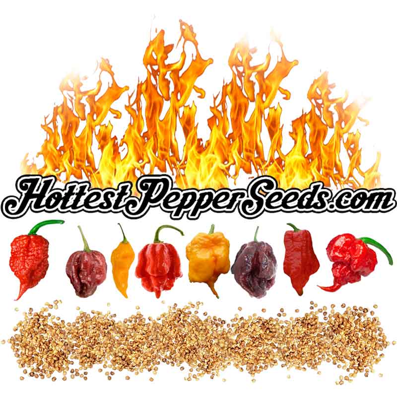Hottest Pepper Seed Collection Pack - 10 Verities
